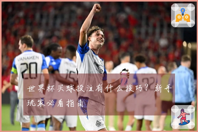 世界杯买球投注有什么技巧？新手玩家必看指南