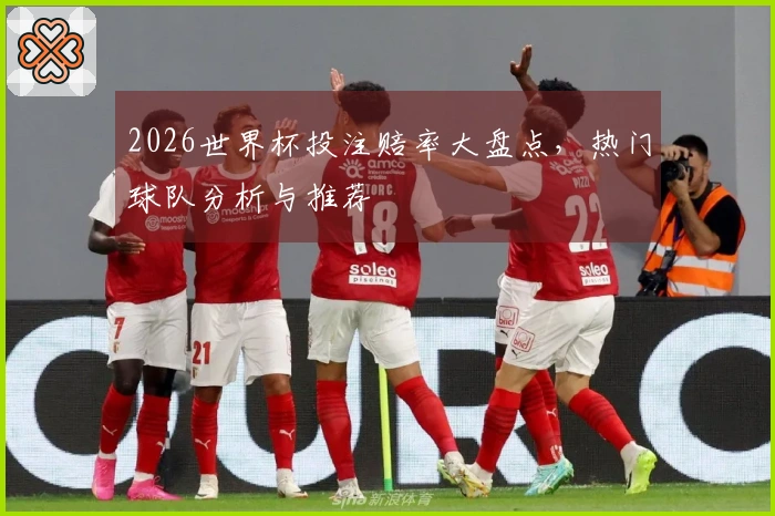 2026世界杯投注赔率大盘点，热门球队分析与推荐